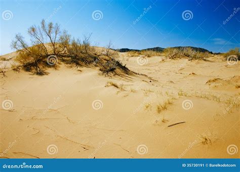 Dunas De Arena En Desierto Imagen De Archivo Imagen De Medio 35730191