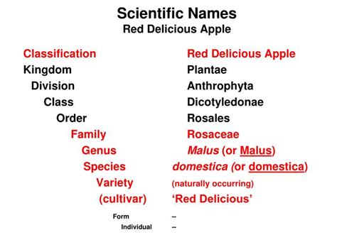 Ppt Nomenclature Scientific Plant Classification Powerpoint