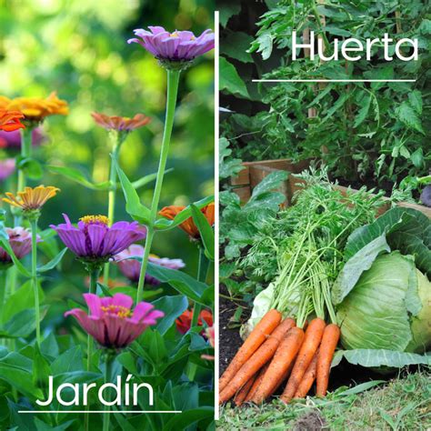 Diferencias entre un jardín y una huerta Ecocultura