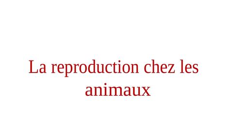 La Reproduction Chez Les Animaux Ac Pdf Docdroid