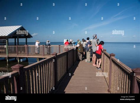 South Padre Island Birding & Nature Center, boardwalks and observation ...