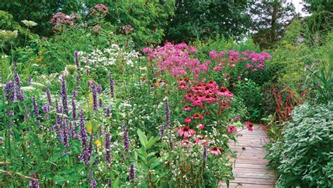 stylish pollinator garden fine gardening