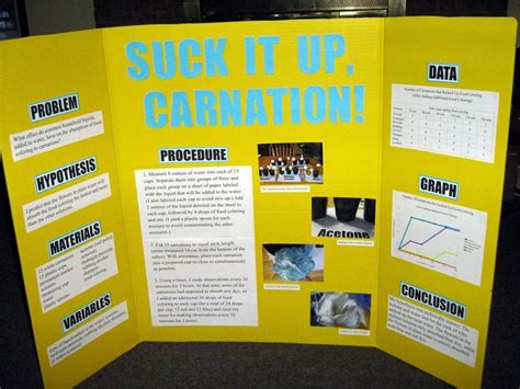 10 Awesome Science Fair Poster Board Ideas 2024