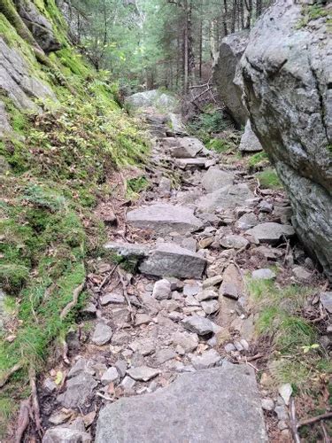 Best Walking Trails in Mt. Ascutney State Park | AllTrails