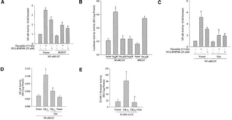 Gαq And Gβγ Regulate Par 1 Signaling Of Thrombin Induced Nf κb