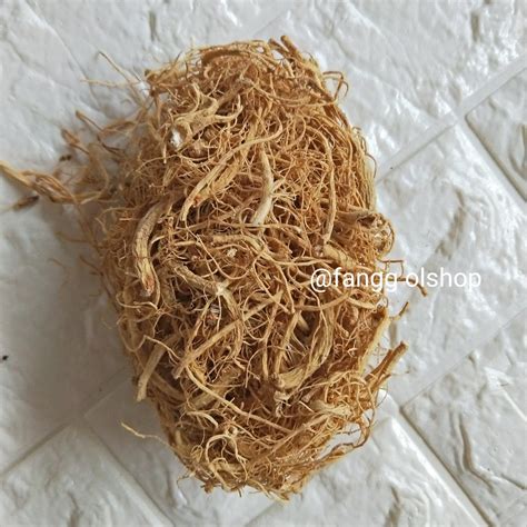 Jual Akar Ginseng Yang Shen Xu Som Chiu Somchiu Somciu Jong Sem Si