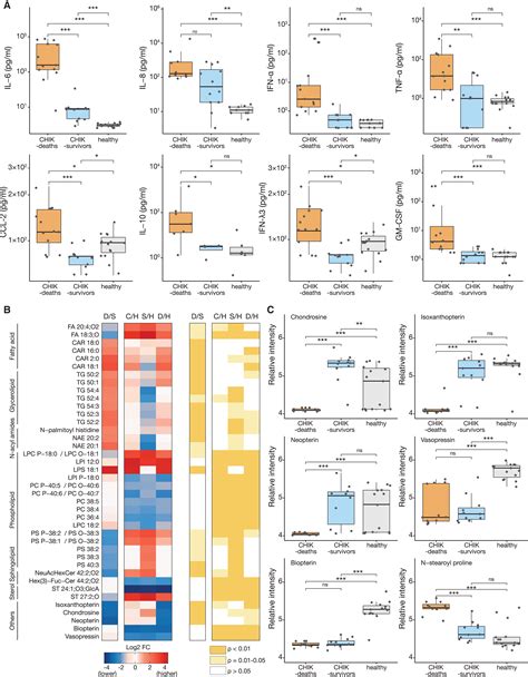 Pathophysiology Of Chikungunya Virus Infection Associated With Fatal