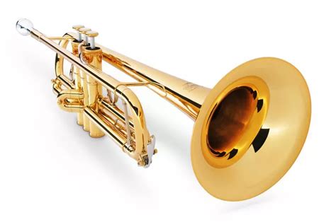 Revealed When Did The Trumpet Become Popular