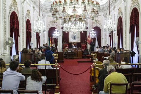 El Pleno Aprueba Por Unanimidad Una Modificación Del Pgou Para Regular