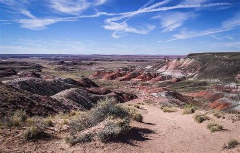 Petrified Forest Photos to Inspire a Visit | Hike Bike Travel