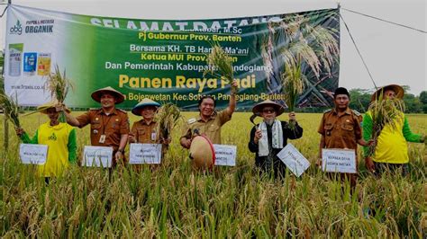 Panen Raya Padi Pj Gubernur Banten Petani Adalah Pahlawan Kita