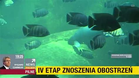 PLSTNEWS 29 05 2020 Ogłoszenie nadawcy Ogłoszenie społeczne