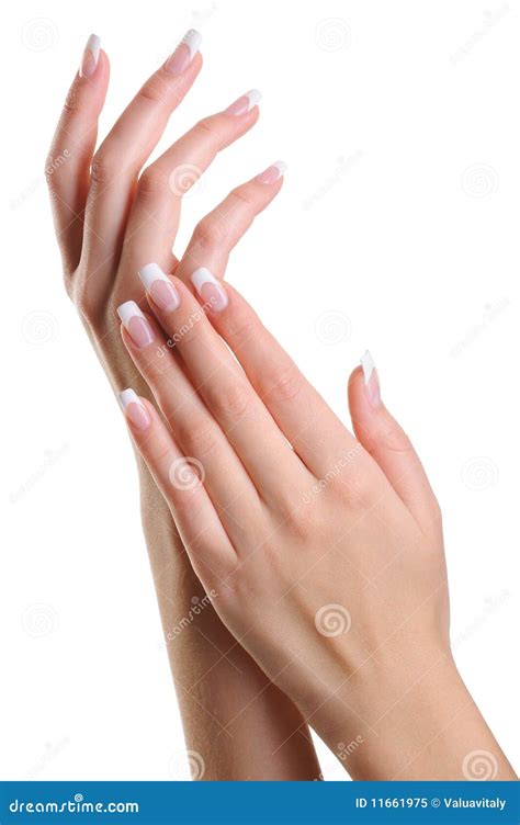 Beauty Elegant Female Hands With French Manicure Stock Image Image Of