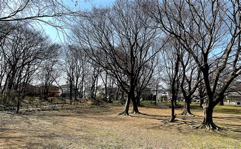 大木島自然公園 日野市公園探訪