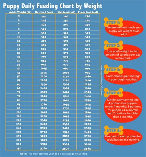 Feeding Chart For Puppies