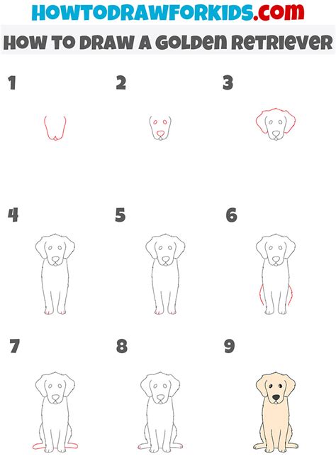 How To Draw A Golden Retriever