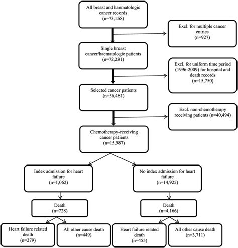 Population Selection Flow Diagram This Diagram Displays The Initial