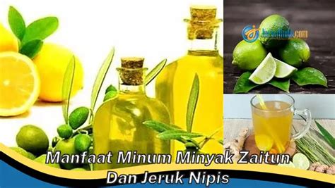 Kamu Wajib Tahu Manfaat Minum Minyak Zaitun Dan Jeruk Nipis Yang