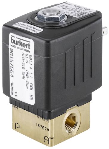 Burkert 6013 Solenoid Valve How They Work