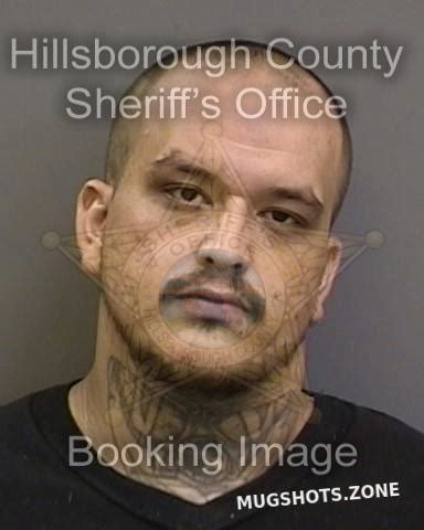 Weaver Justin Hillsborough County Mugshots Zone