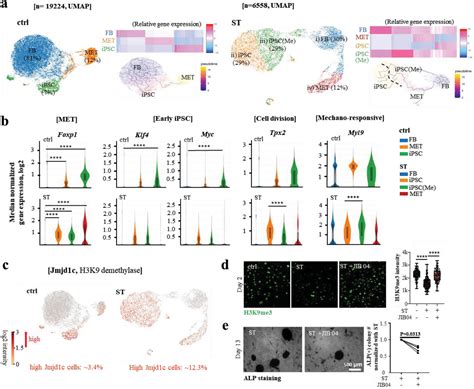 Cyclic Stretch Promotes Cellular Reprogramming Process Through