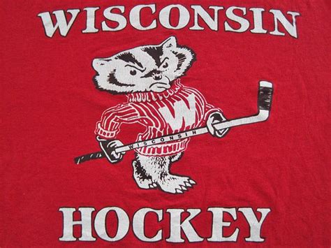 29 best Bucky badger's images on Pinterest | Wisconsin badgers, Bucky ...