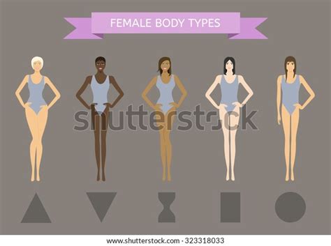 Set Female Body Shape Types Triangle Stock Vector Royalty Free 323318033