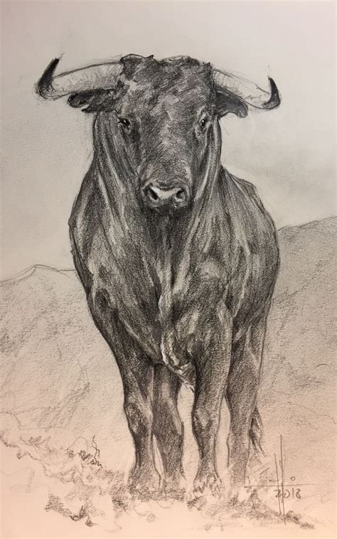 Dibujo a grafito y carbón graso de un toro bravo por Francisco Javier