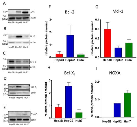 Biomedicines Free Full Text Simultaneous Inhibition Of Mcl 1 And Bcl 2 Induces Synergistic