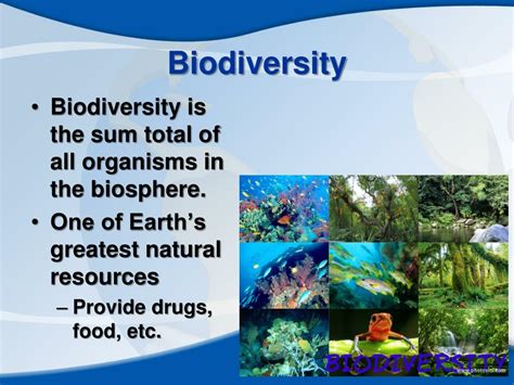 Ppt Humans In The Biosphere Chapter Powerpoint Presentation Free