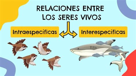 La Dependencia De Los Seres Vivos En Su Entorno Natural Actualizado