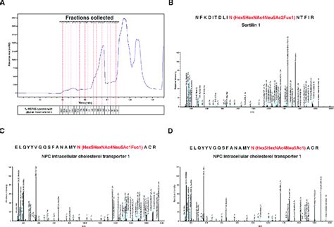 Ultraviolet Absorbance Chromatogram Of Size Exclusion Chromatography