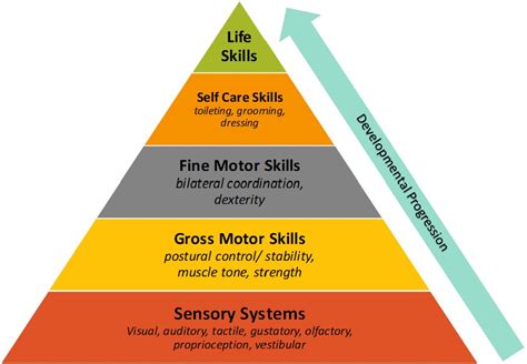 Gross Motor Development - Down Syndrome Resource Foundation