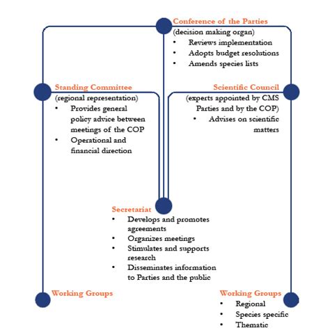 Organizational Structure of CMS | CMS