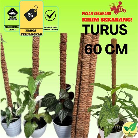 Jual Turus Penyangga Tanaman Turus Tanaman Penyangga Tanaman Bunga