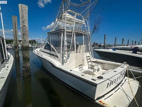 Used 1995 Blackfin Combi 31 08204 Cape May Boat Trader