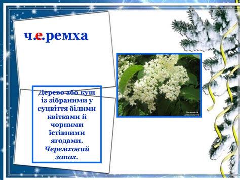 Словникові слова. Словничок К - М - презентация онлайн