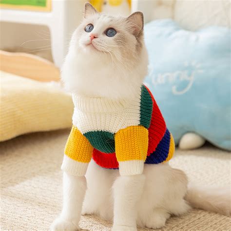sweaters on cats 8