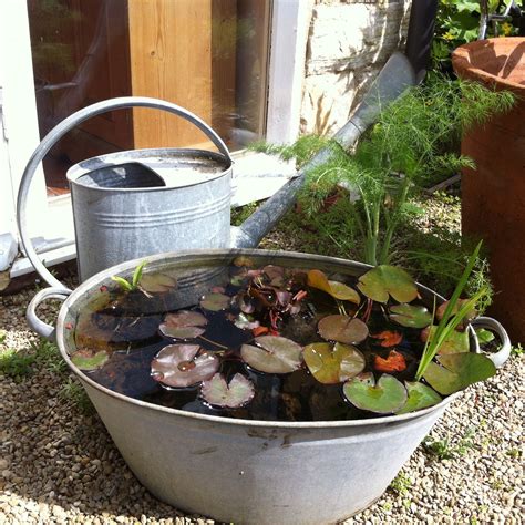 Miniature Water Garden In Galvanised Tub Container Water Gardens