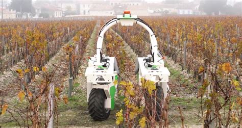 Futilit S Cuisine La Viticulture Se Tourne De Plus En Plus Vers La