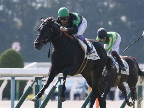 武豊騎手 今週の騎乗馬 競馬ニュースなら競馬のおはなし