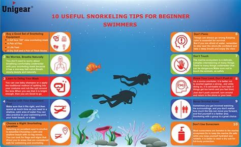 snorkeling tips  beginners shirley law flickr