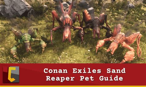 Conan Exiles Sand Reaper Pet Guide Get Yourself A Poison Queen Conan