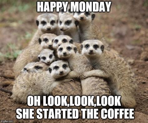 Monday Coffee Meme