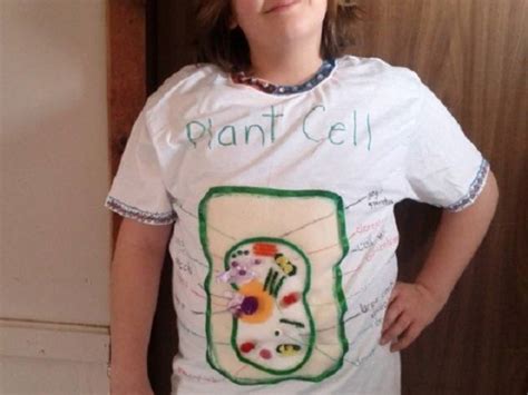 Plant Cell Project Ideas Claude Duggan