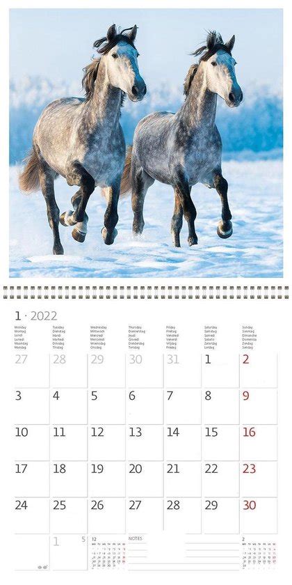 Helma Ca Kalender X Cm Paarden Bol