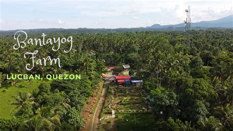 Bantayog Farm Magandang Farm Sa Lucban Quezon YouTube