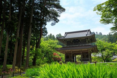 林泉寺 【公式】上越観光navi 歴史と自然に出会うまち、新潟県上越市公式観光情報サイト