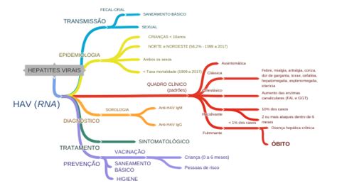 Hepatites Virais Hav Rna Quadro ClÍnico Padrões Recidivante 10
