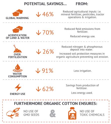 The Major Difference Between Conventional Organic Cotton